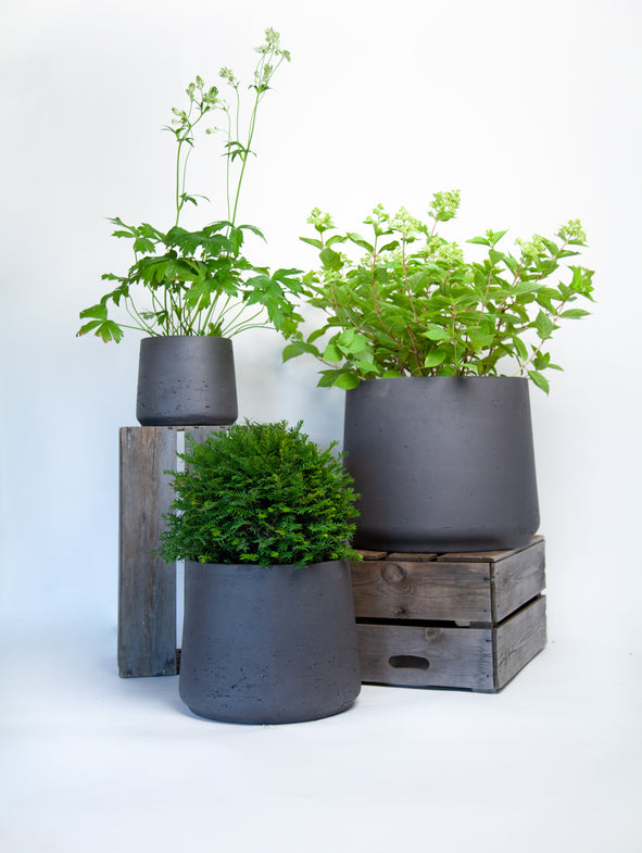 Soto White - Shade - 3/Set